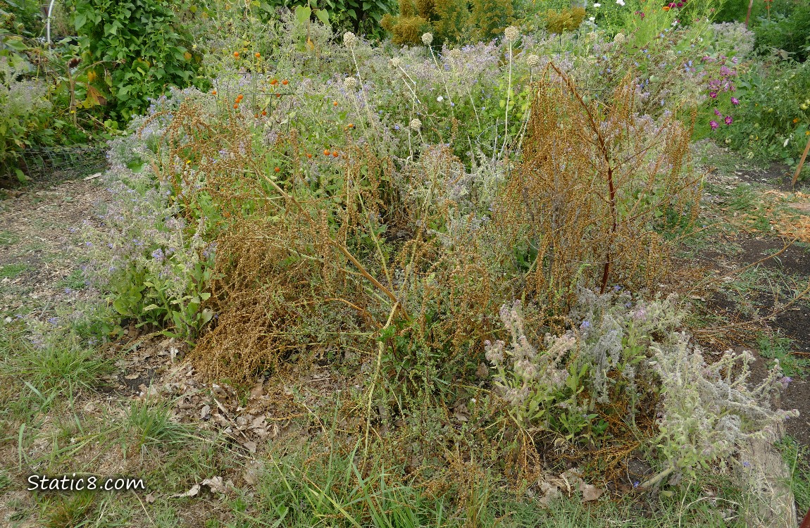 Garden plot