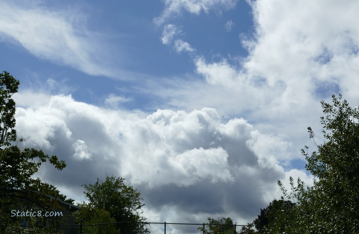 Puffy white clouds in the blue sky