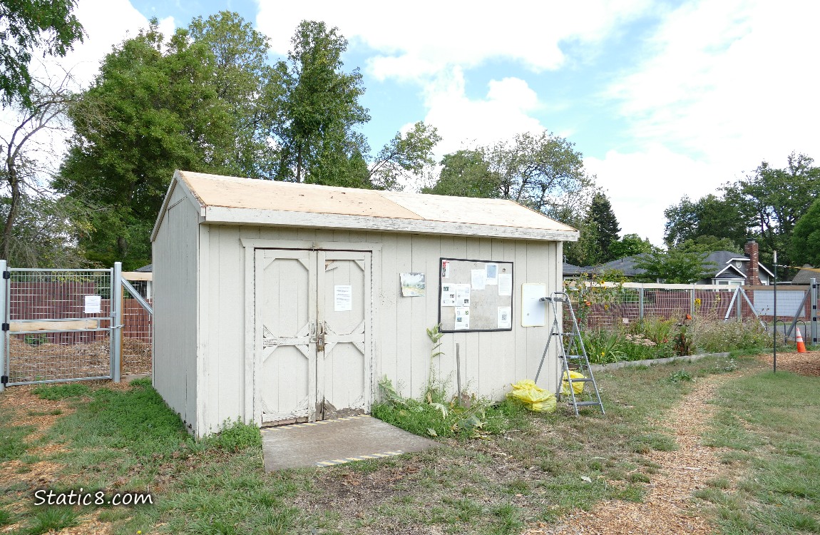 Garden shed