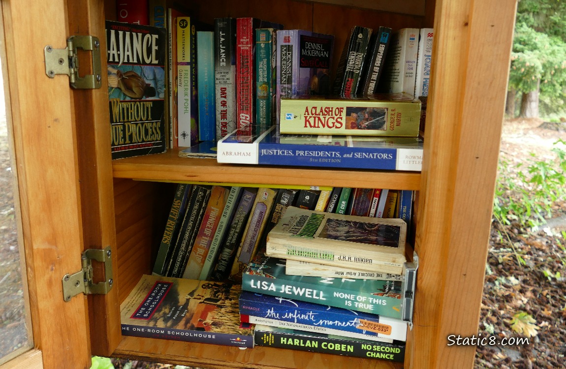 Books on two shelves of a Little Free Library