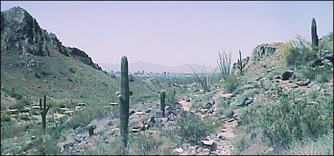 Looking towards the city from the trail